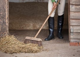 maintaining wooden stables