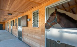 wood stable doors